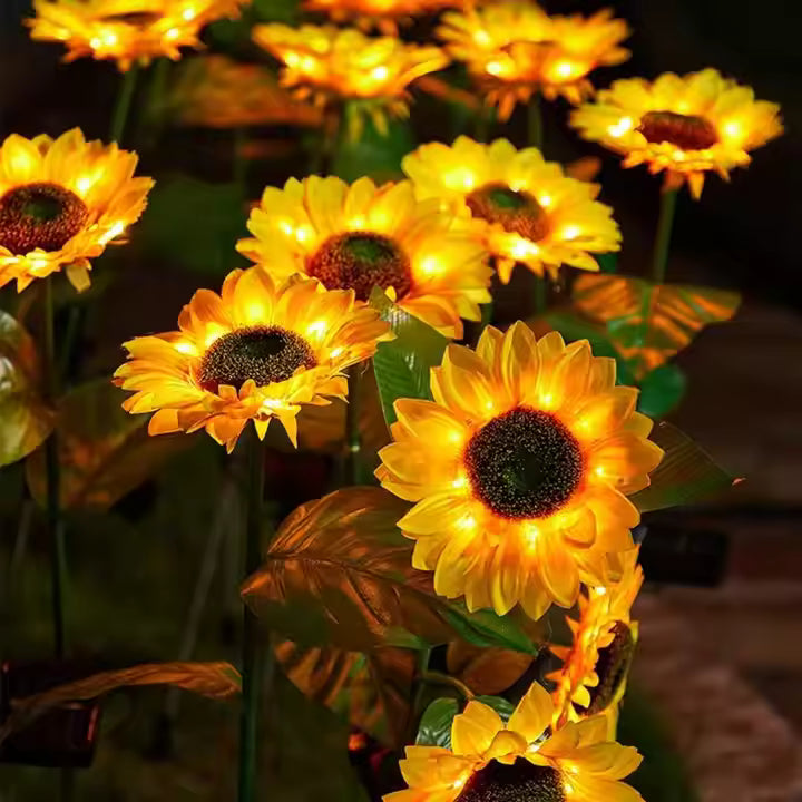 Solar Sunflower Garden Light – 3-Head 2 unit